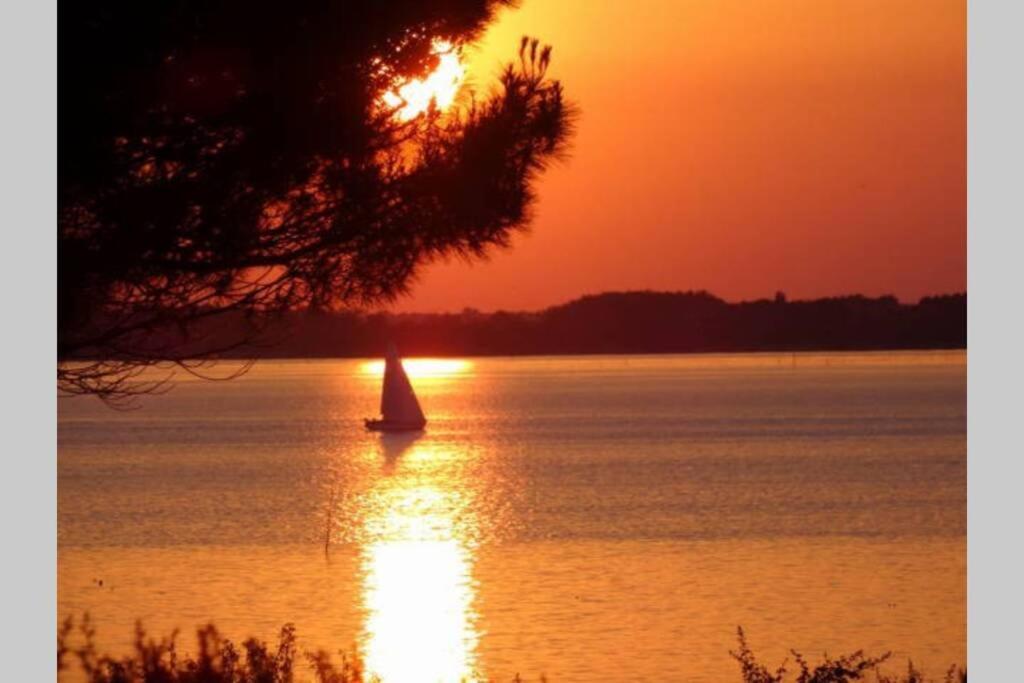Ty Too, Dans Les Bois, Face Mer Pénestin Esterno foto